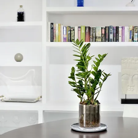Sequia Deluxe Apartment Girona